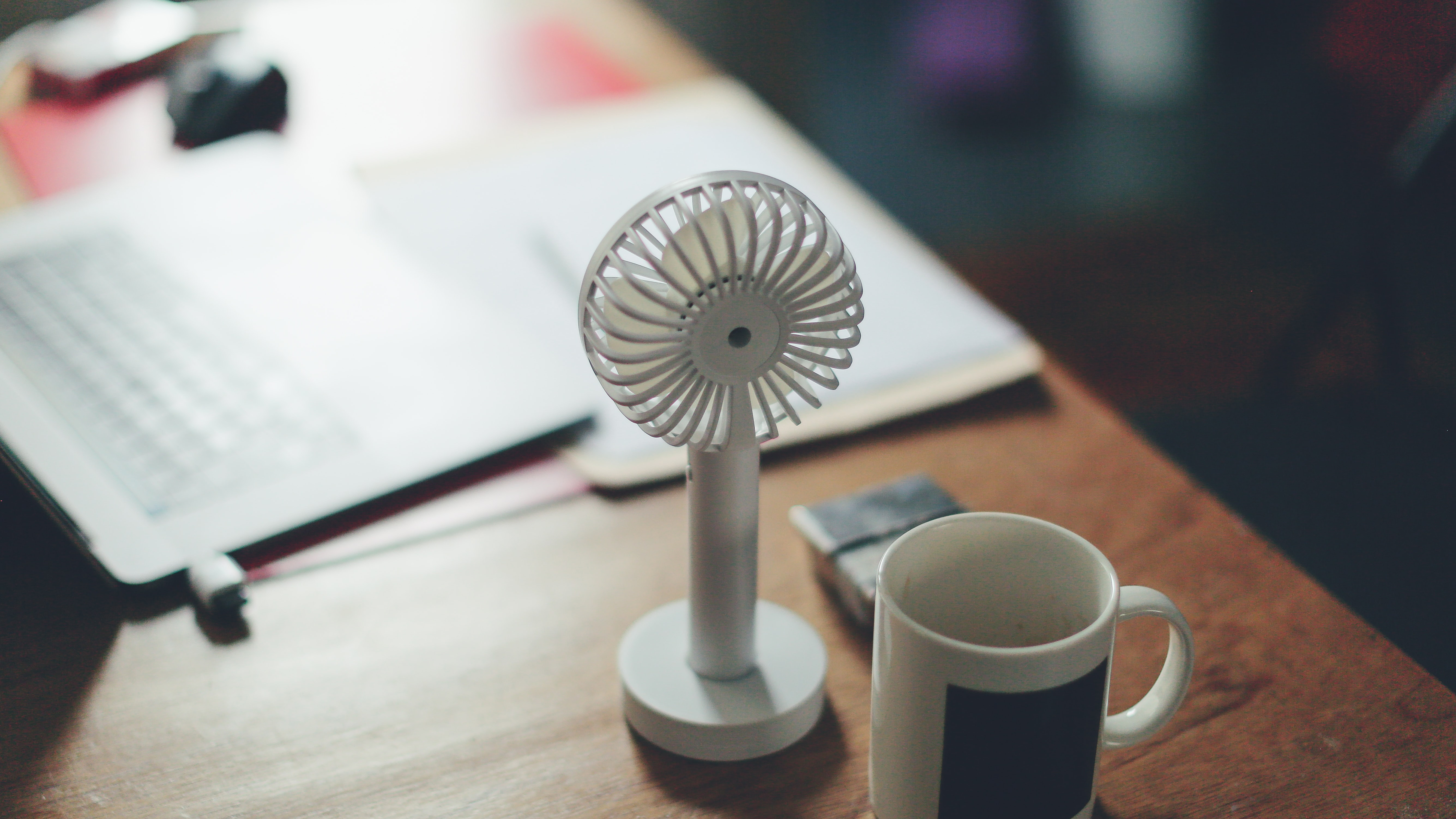 Does fresh air prevent mold?