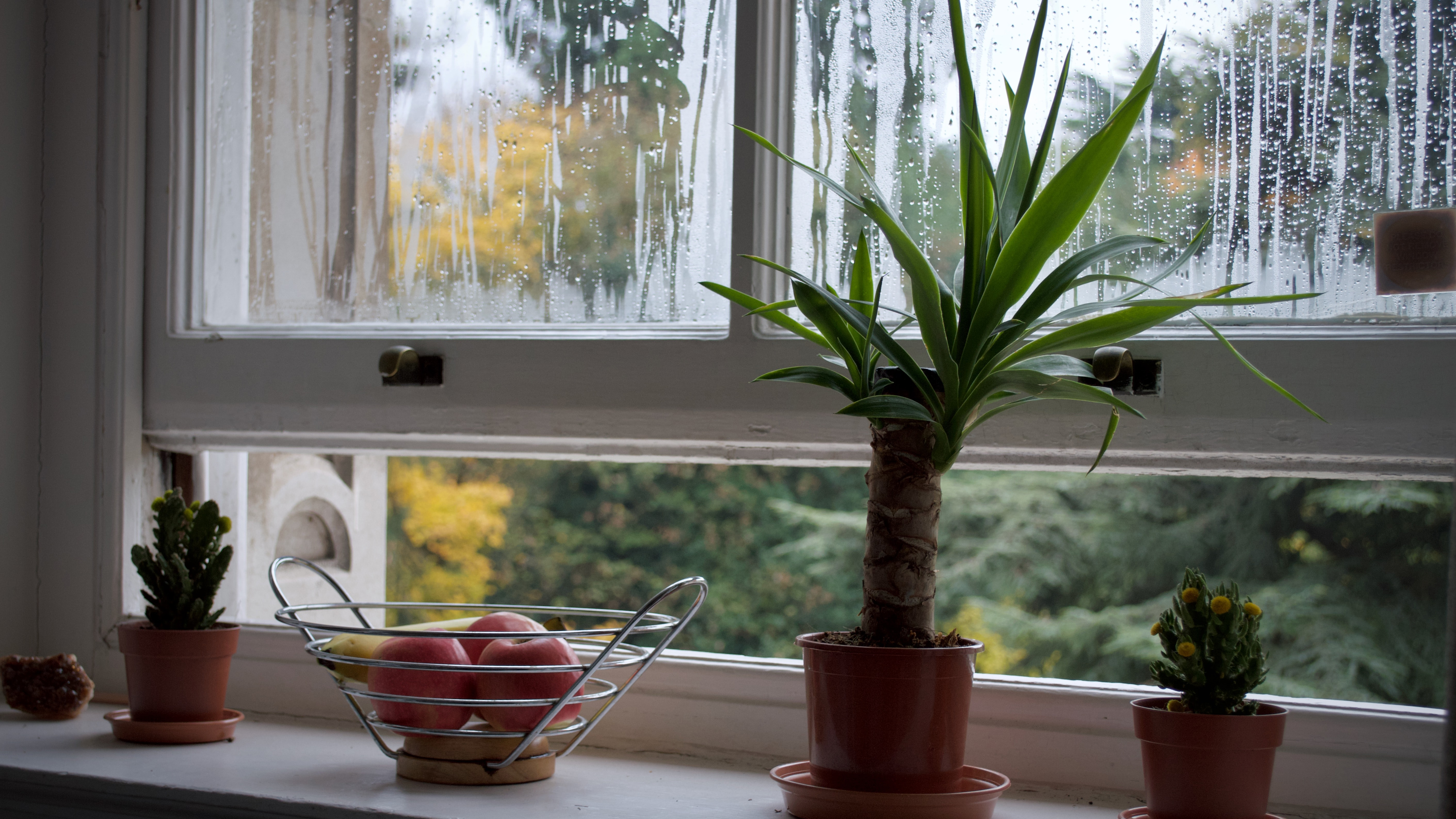 battery powered air monitor