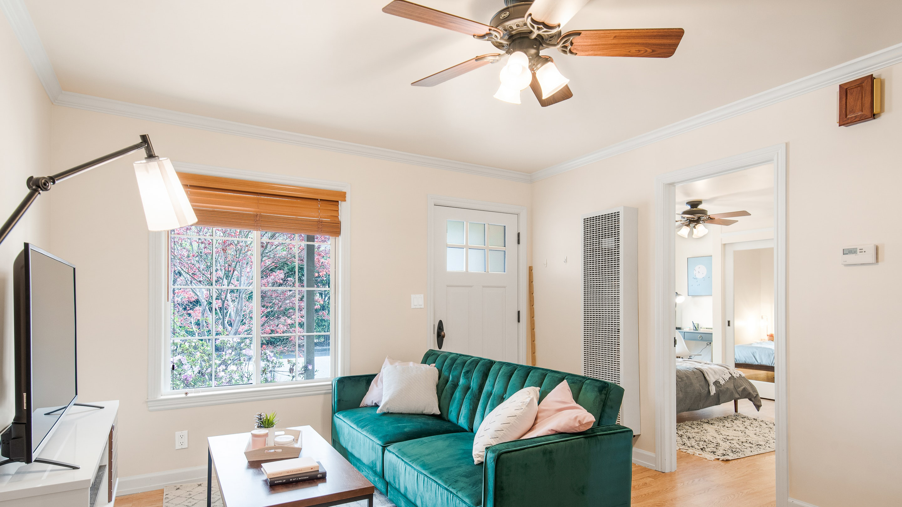 prevent mold at home