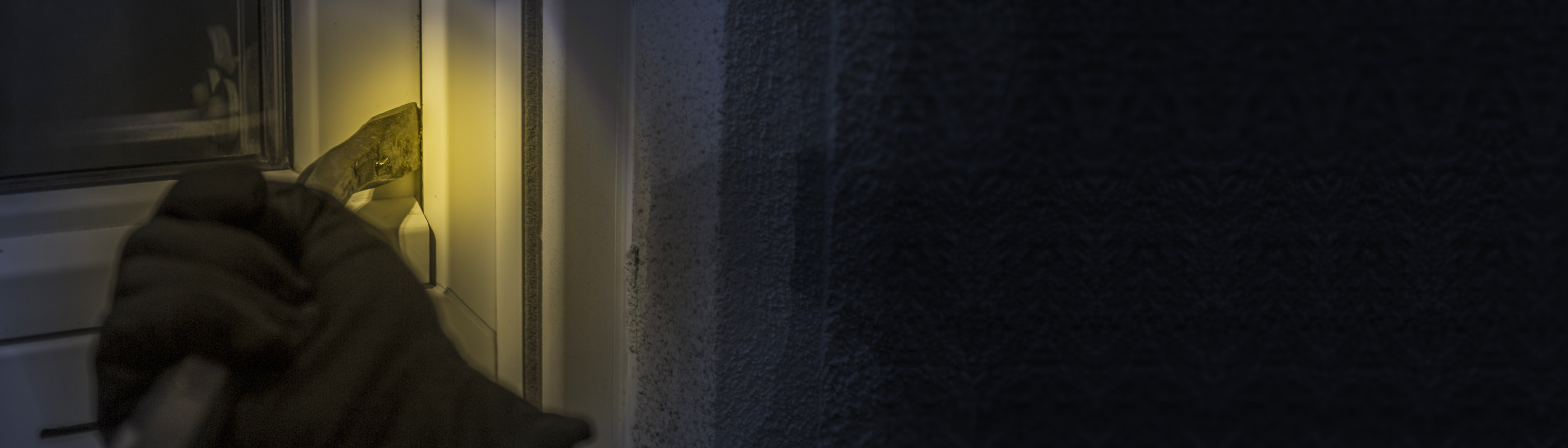 protect your home with smart home frients