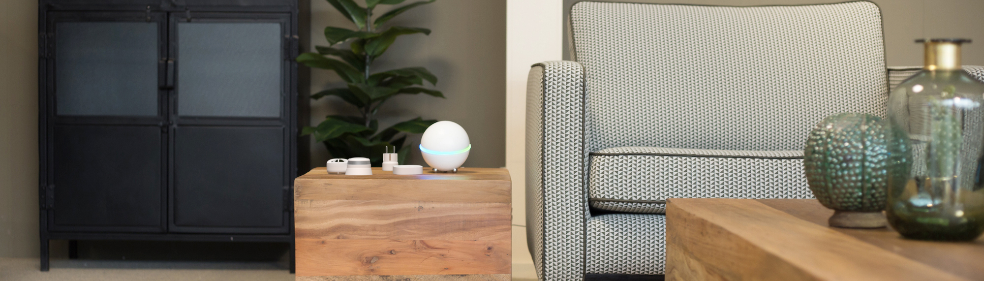 frient talks with Homey