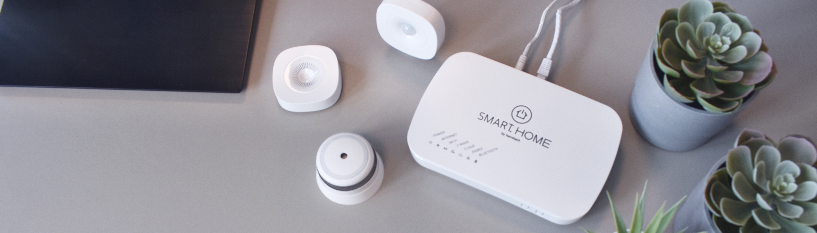 frient works with hornbach