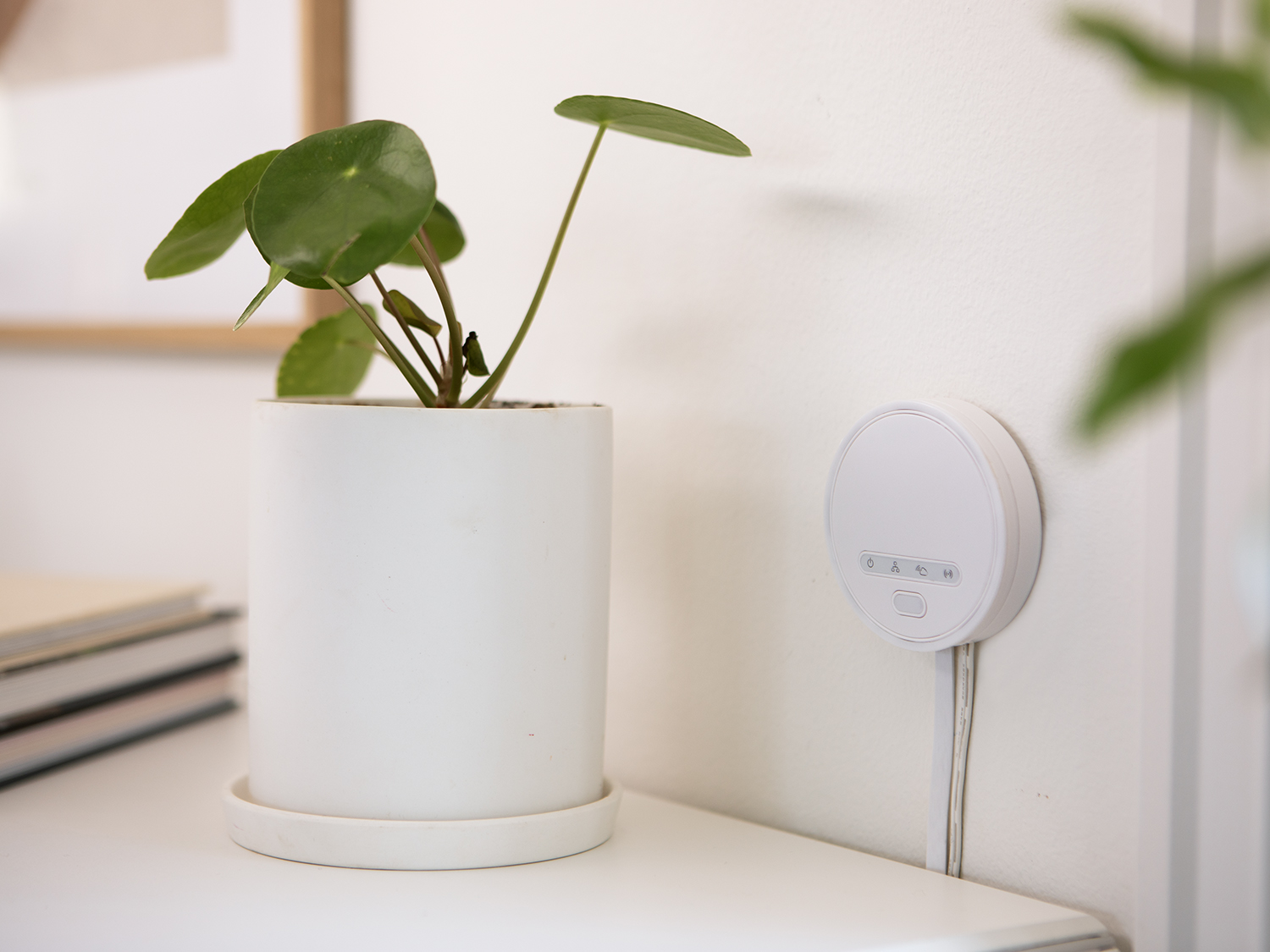 Eva Smarthus hub is working with frient