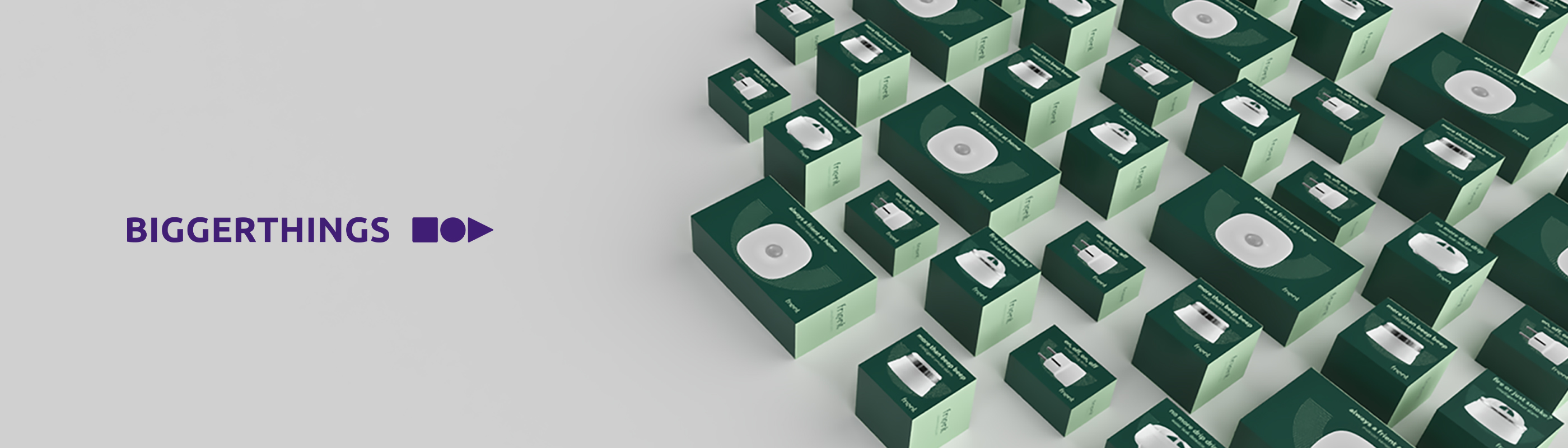 frient smart home distributor Biggerthings