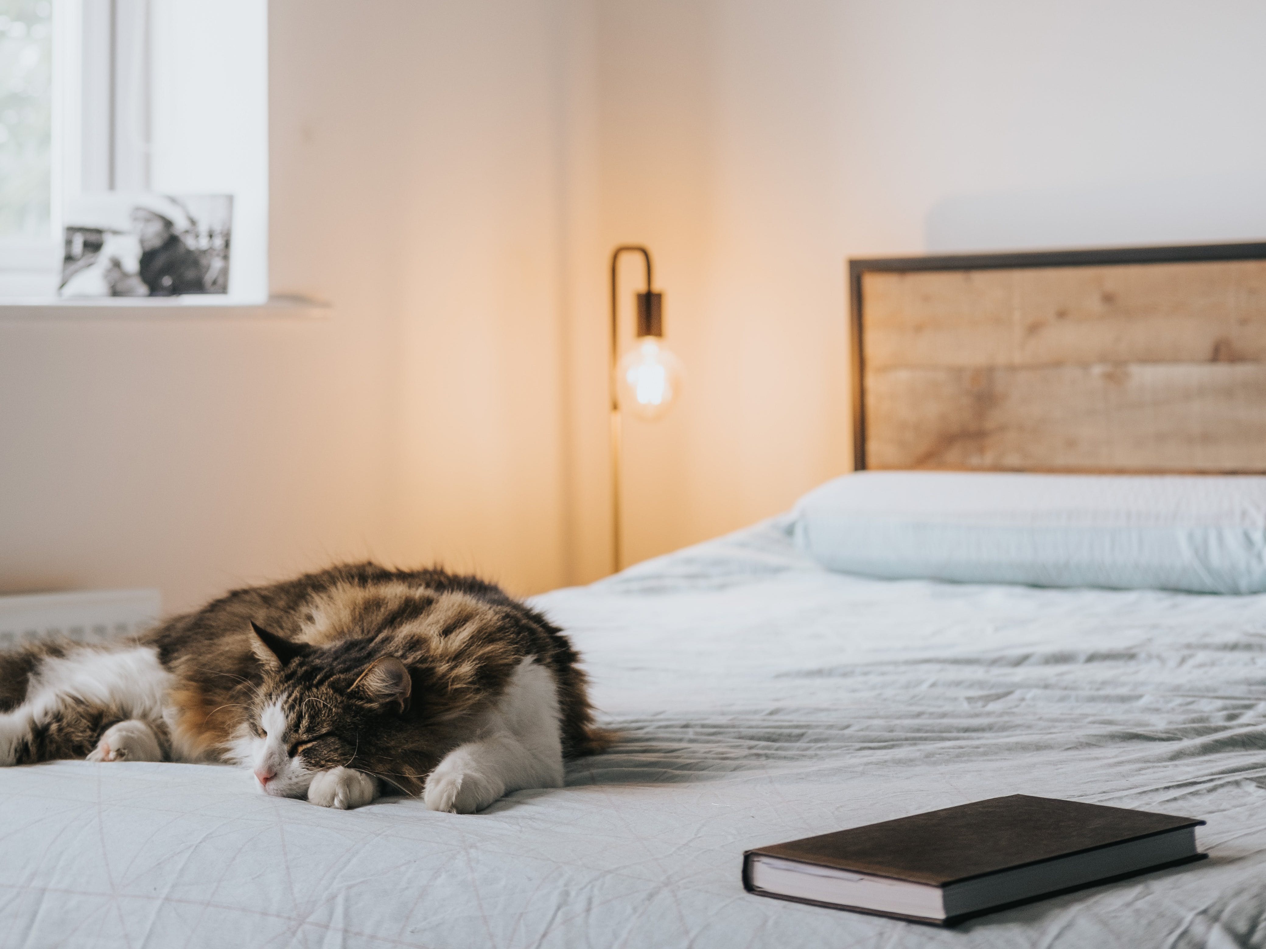 best Zigbee smart home device