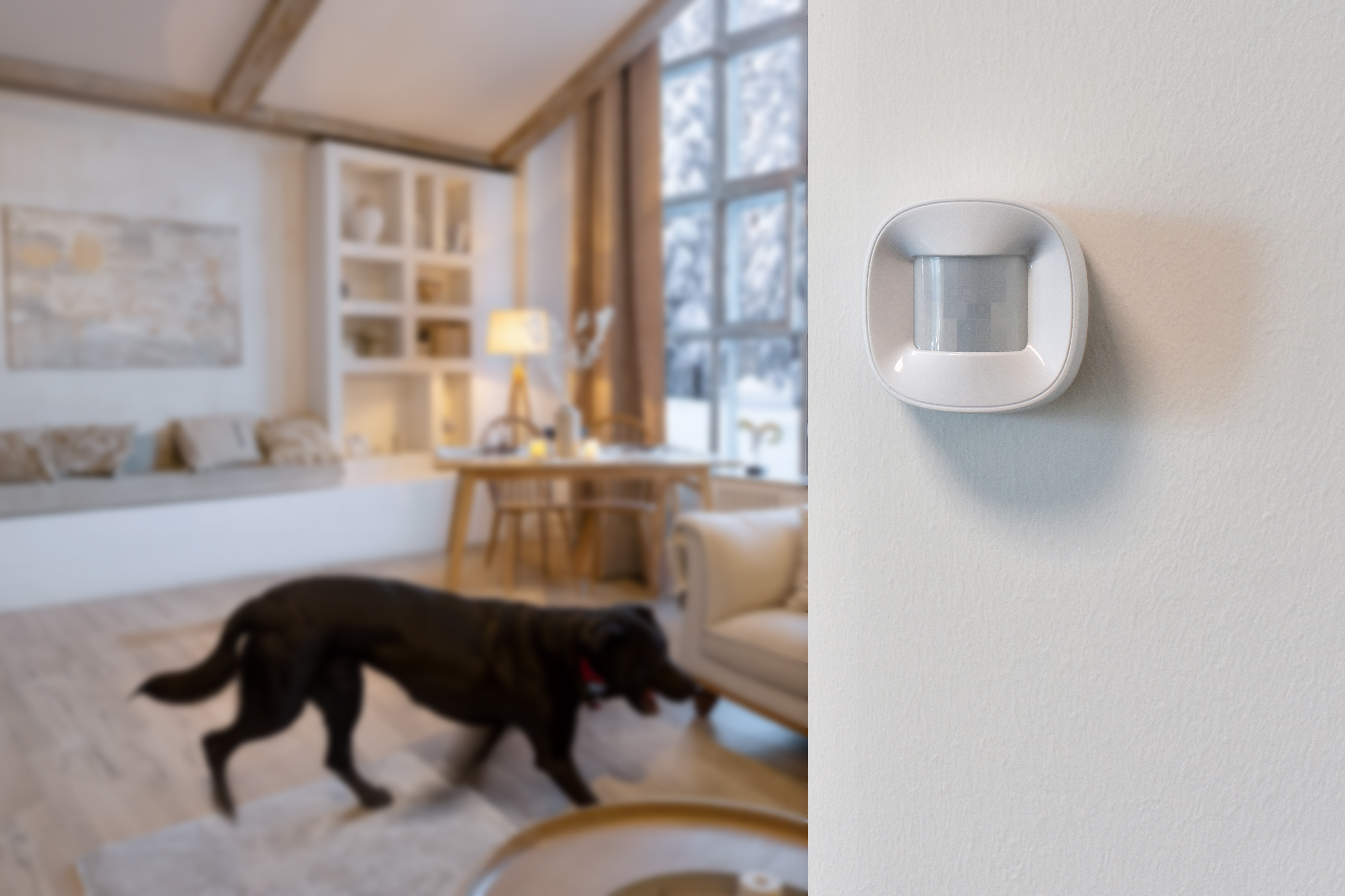 best motion detection sensor pets